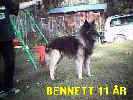 Bennett01.jpg (9714 byte)